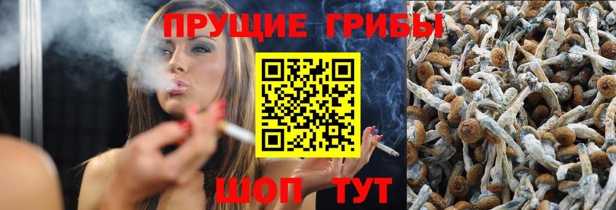 Галлюциногенные грибы Magic Shrooms Семёнов