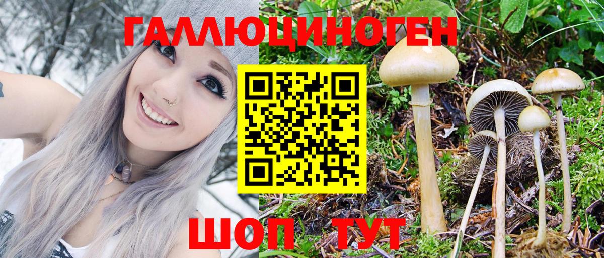 Семёнов  Галлюциногенные грибы MAGIC MUSHROOMS  Вход с VPN  Псилоцибиновые грибы Psilocybe 